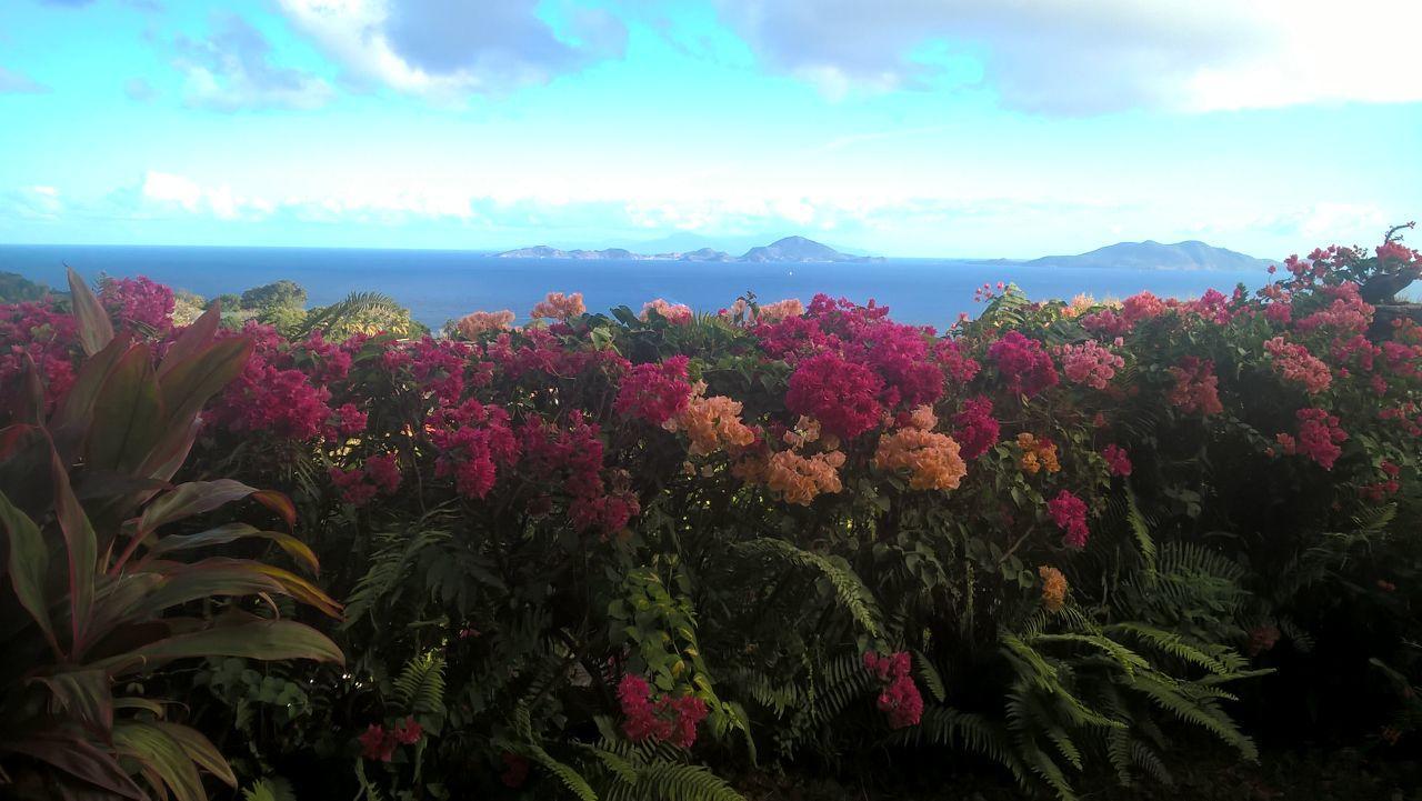 Hébergement de vacances Bel Z 'iguane *